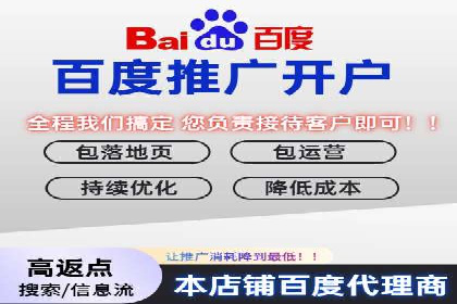 百度内容营销推广的多样化策略